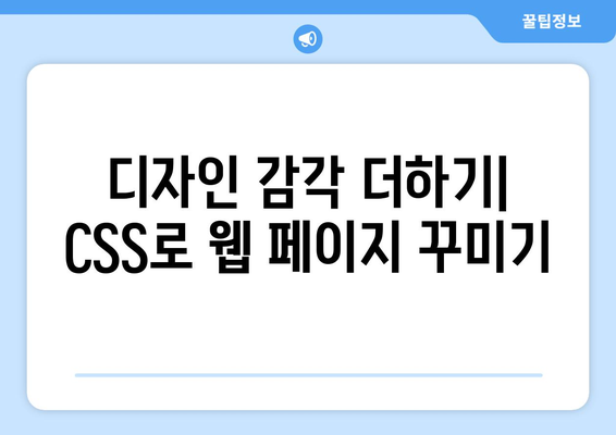 HTML과 CSS 기초 배우기 위한 가이드