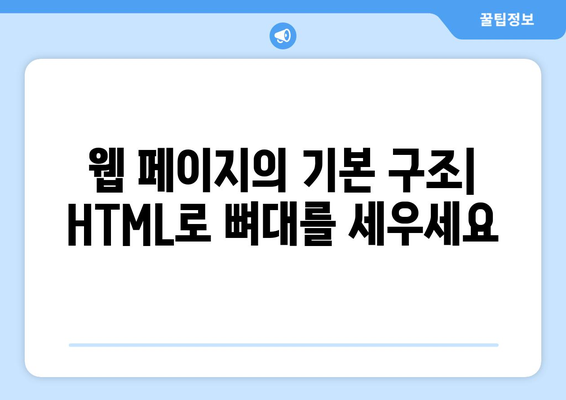 HTML과 CSS 기초 배우기 위한 가이드