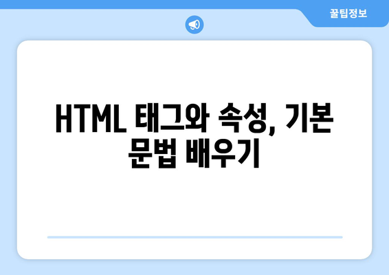 HTML과 CSS 기초 배우기 위한 가이드